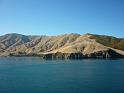 New_Zealand (744)